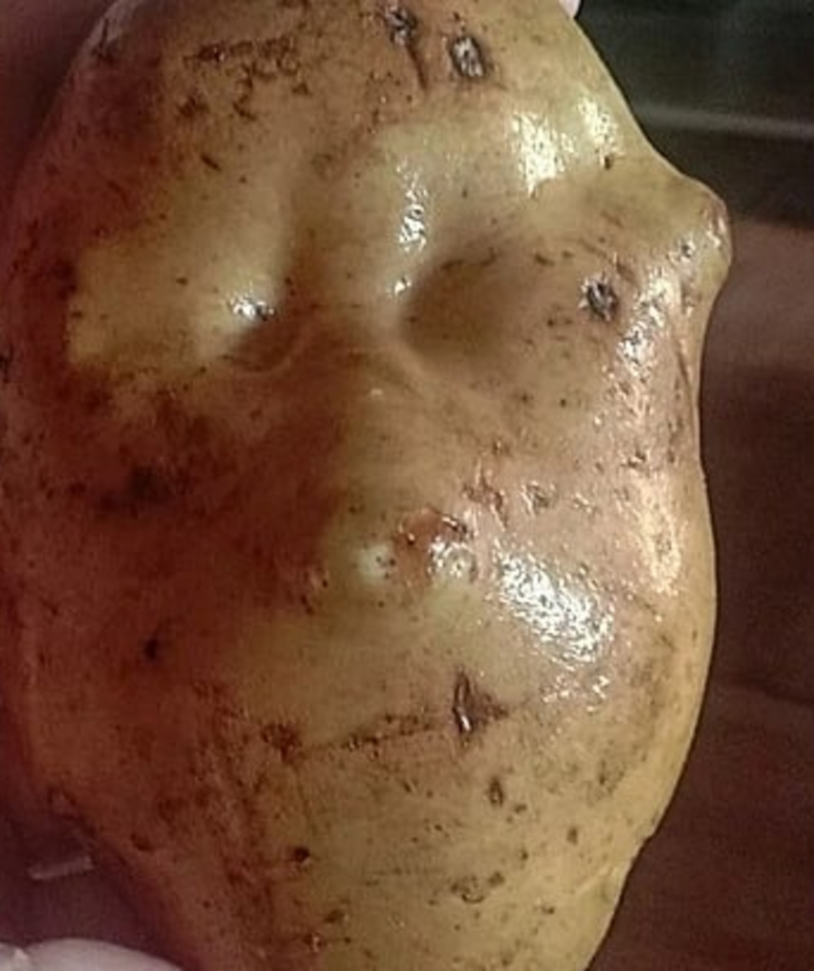 В Башкирии выкопали клубень картофеля с очертаниями человеческого лица