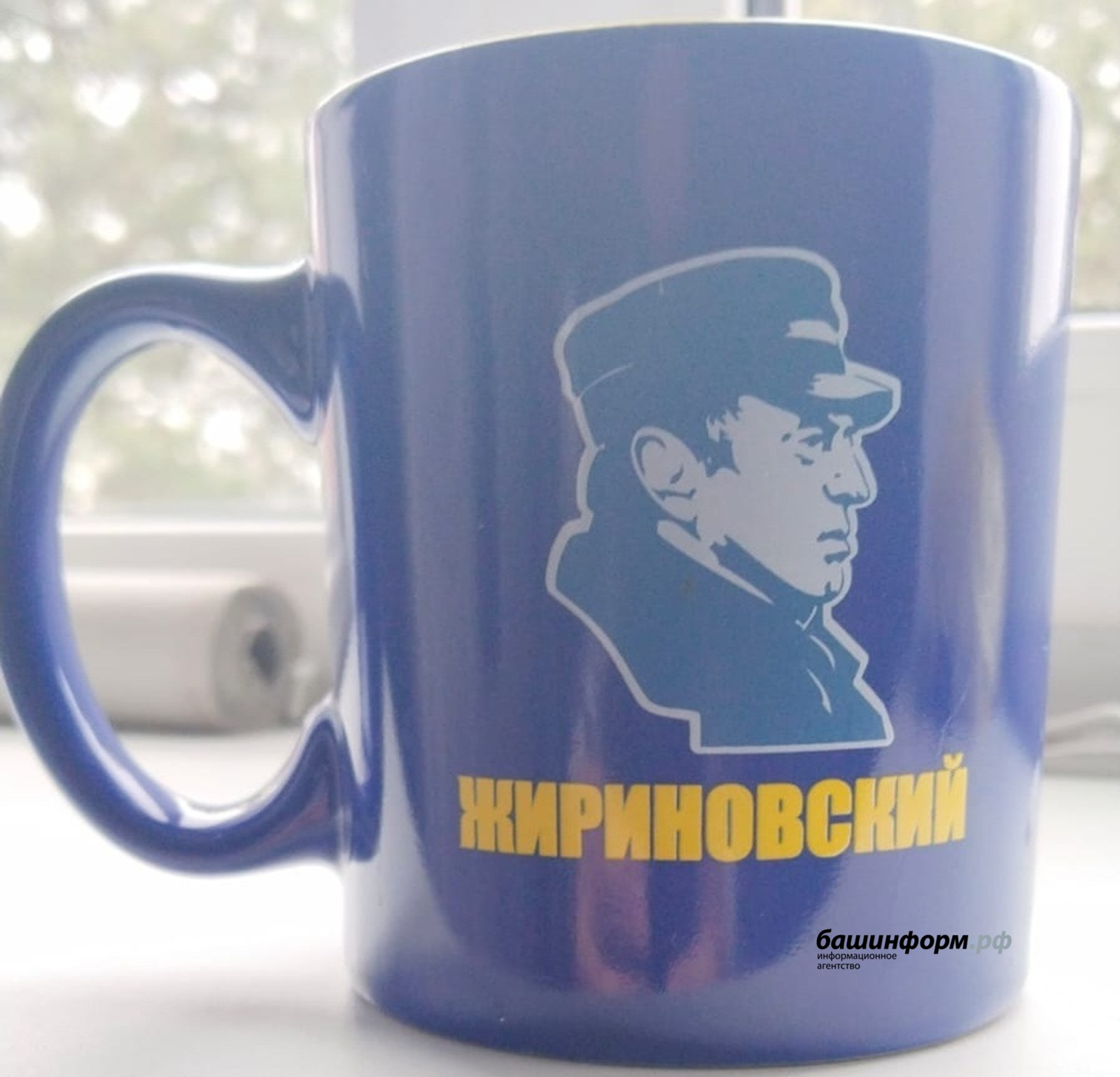 В Башкирии улицу могут назвать именем Владимира Жириновского