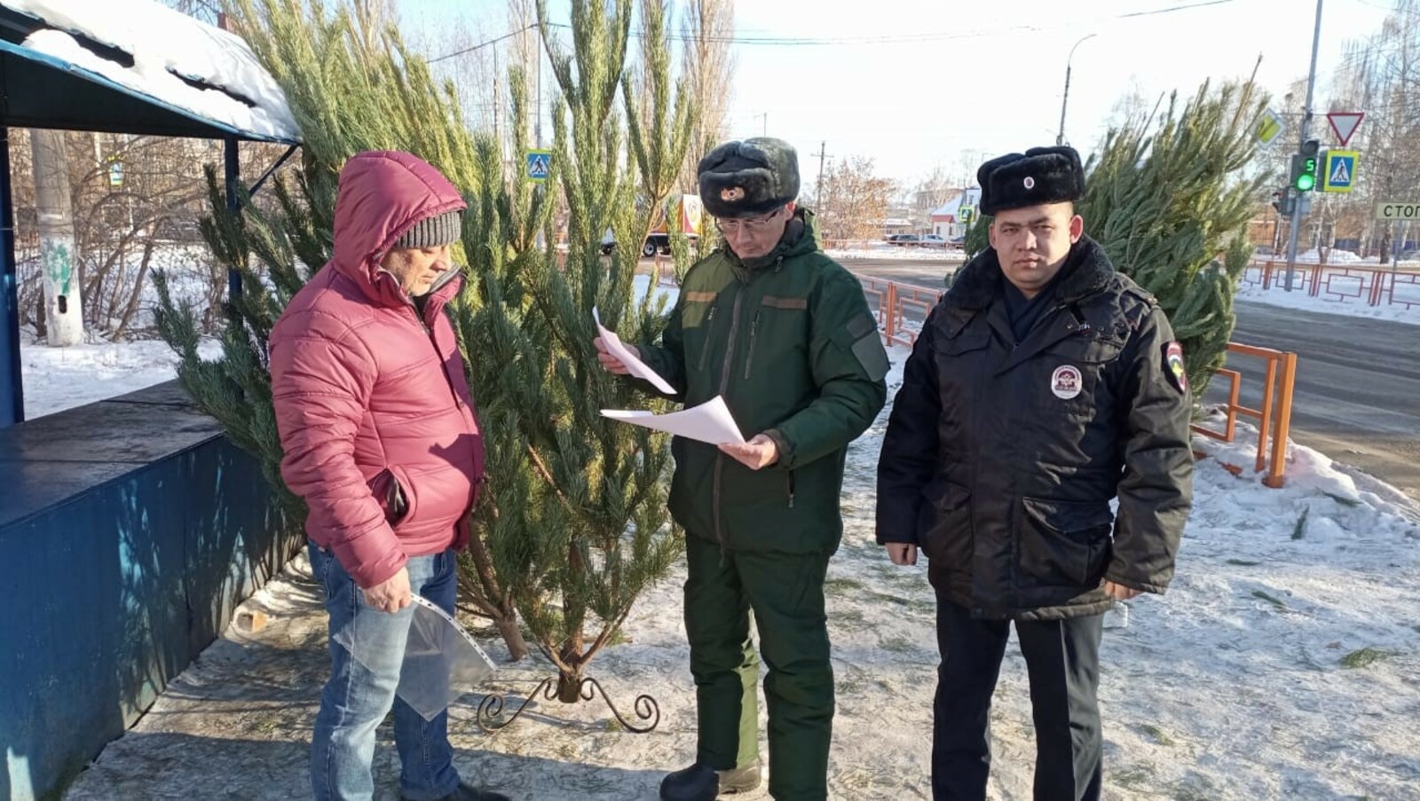 В Башкирии  подвели итоги операции "Ель-2022"