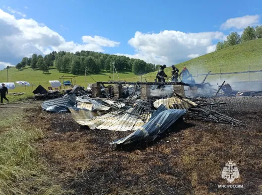 Большая трагедия: трое детей погибли во время пожара в Башкирии