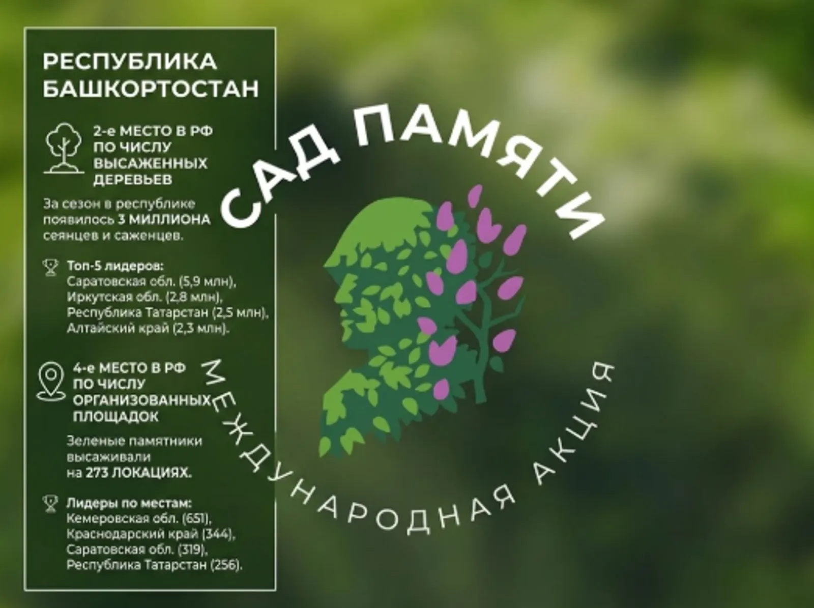 Башкирия - в числе ведущих регионов по международной акции "Сад памяти"